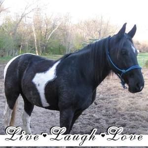 Meet your Posher, Cheri